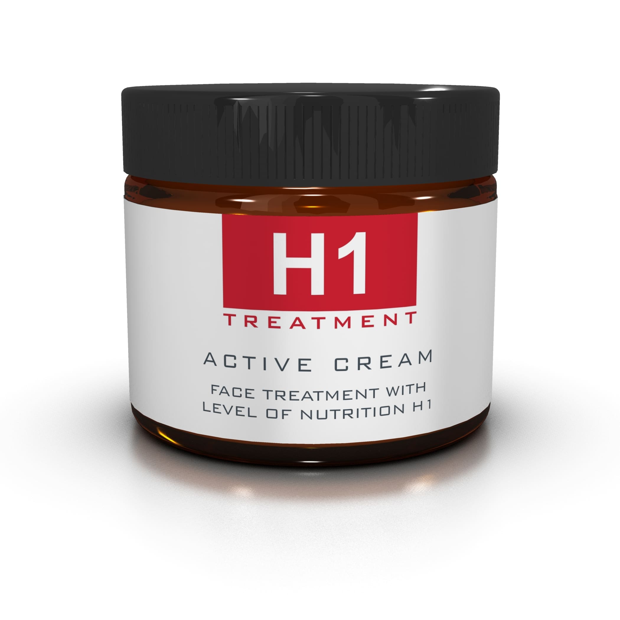 h1